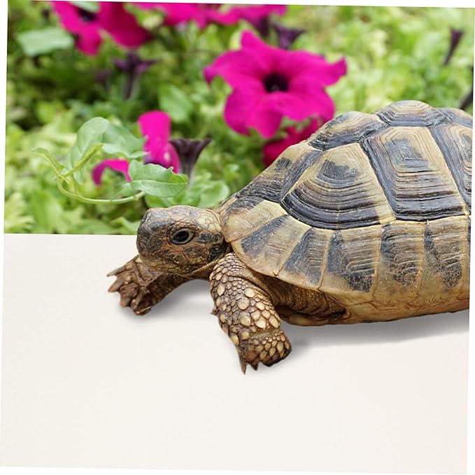 Totority Crested Gecko Tank Accessories Reptile Carpet Bearded Dragon Substrate Tortoise Bedding Lizard Tank Bedding Mat Portable Reptile Terrarium Carpet