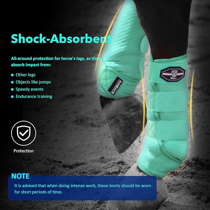 Harrison Howard Horse Sport Medicine Front Shock-Absorbing Boots All-Round Lower Limb Protection & Support Sport Boots Perfect for Endurance Training and Performance Pack of 2 Mint M