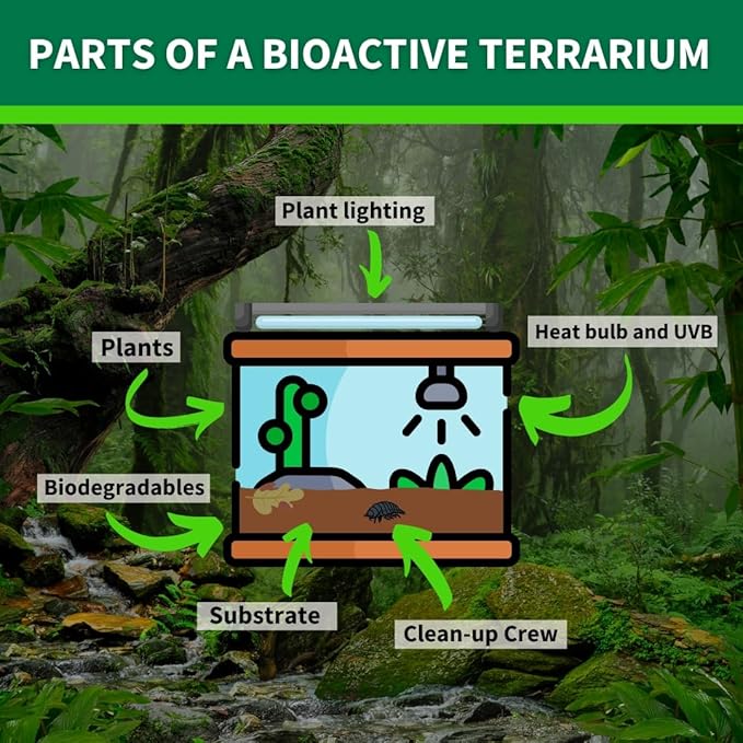 BIODUDE The Bio Dude Terra Sahara Bioactive Reptile Substrate 18 quarts for terrariums and vivariums. Great for All Bearded Dragons, Leopard Geckos, Uromastyx, Tarantulas and Desert Plants