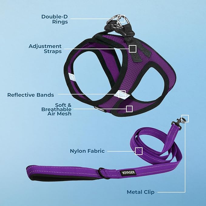 Best Pet Supplies Voyager Step-in Air All Weather Mesh Harness and Reflective Dog 5ft Leash Combo with Neoprene Handle, for Small, Medium and Large Breed Puppies - Set (Purple/Black Trim), Medium