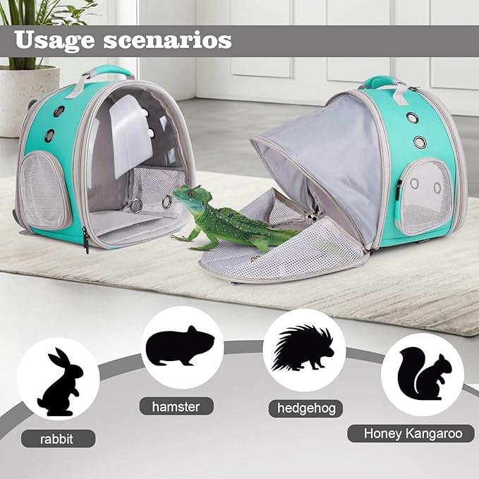 WEVONIGU Expandable Small Animal Backpack Carrier with Clear Bubble Window Large Space Travel Cage for Hedgehog Rat Parrot,Bearded Dragon,Sugar Glider,Airline Approved (Green, BE Backpack)