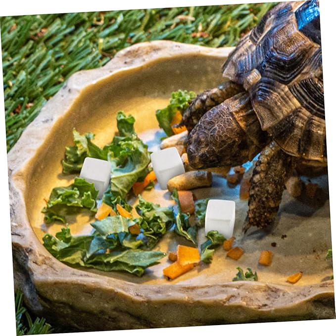 Abaodam 30pcs Reptile Mineral Rocks for Turtles Tortoises Lizards Frogs Supplements for Aquatic Semi Aquatic Pets Growth Vitality Water Quality Stability