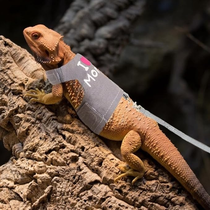 Bearded Dragon Harness and Leash Set - Adjustable Lizard Harness with Glow in The Dark Print Outdoor Traction Rope Walking Leash Reptile Halloween Costume Accessories for Small Pets (Grey)