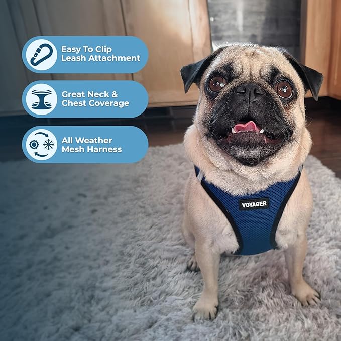 Best Pet Supplies Voyager Step-in Air All Weather Mesh Harness and Reflective Dog 5ft Leash Combo with Neoprene Handle, for Small, Medium and Large Breed Puppies - Set (Blue/Black Trim), Large
