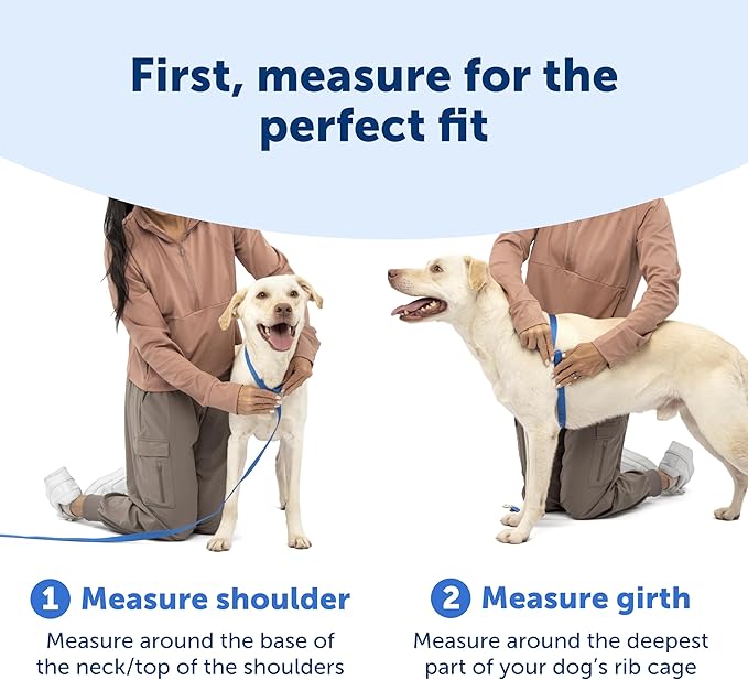 PetSafe Easy Walk Comfort No-Pull Dog Harness - Better Walk Training Harness - Full Body Padded Design - Durable Fabric - 5 Point Adjustable Fit - Everyday Leash Training - Green - X-Small