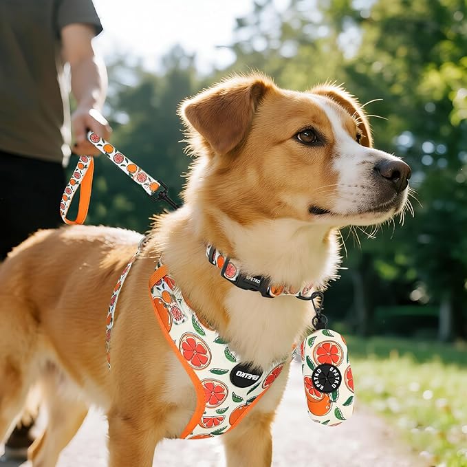 Small Dog Harness and Leash Set of 6, No Pull Soft Lightweight Mesh Puppy Harness， Adjustable Cute Floral Pattern Pet Harness for Small Medium Dogs (Orange, XS)