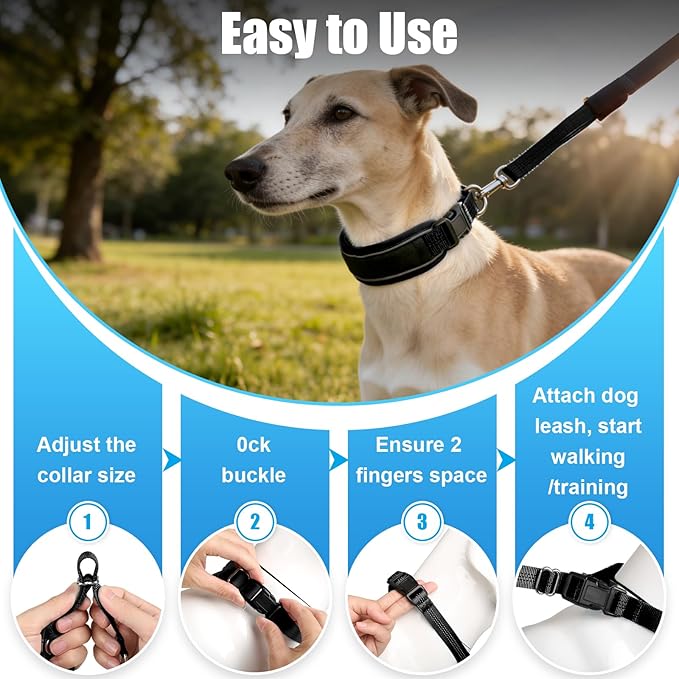 Lightweight Prong Collar for Dogs, Reflective No Pull Dog Collar | Adjustable Size Dog Pinch, Breathable Woven Fabric Air Grid Technology, Martingale Collar for Dogs Training(Black-L)