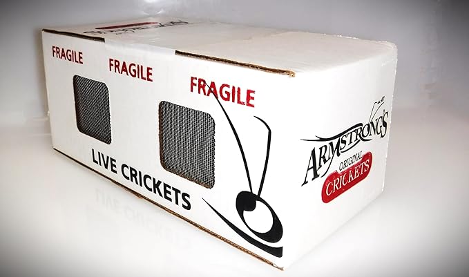 Armstrong's Original Crickets Giantmealworms (Large, 1000, Count)