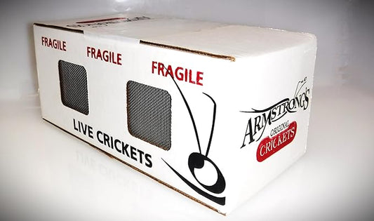 Armstrong's Original Crickets Giantmealworms (Large, 1000, Count)