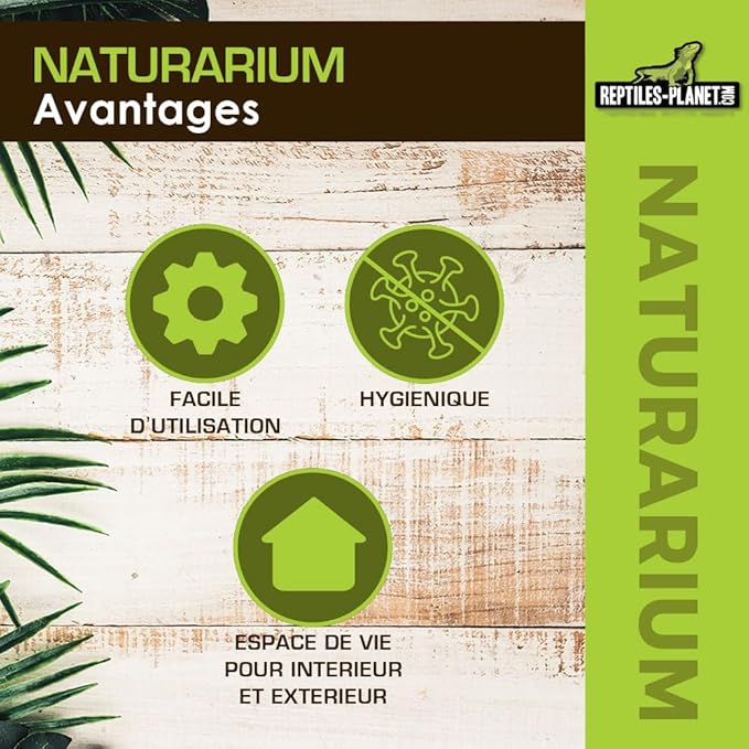 Reptiles-Planet Naturarium Terrarium, Medium, 75 x 45 x 75 cm