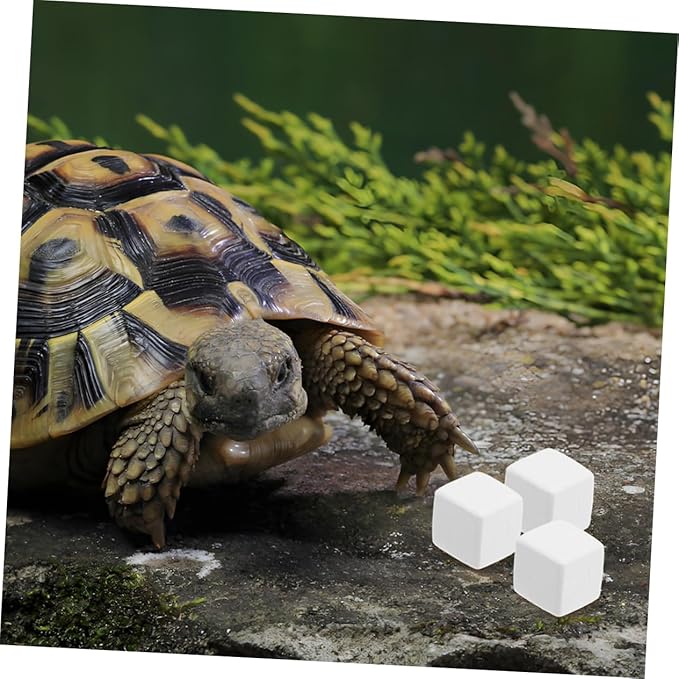 BESPORTBLE 12-Piece PET Mineral Block Set for Reptiles Natural for Crab Enclosure Nutrient-Rich Reptile Habitat Accessories