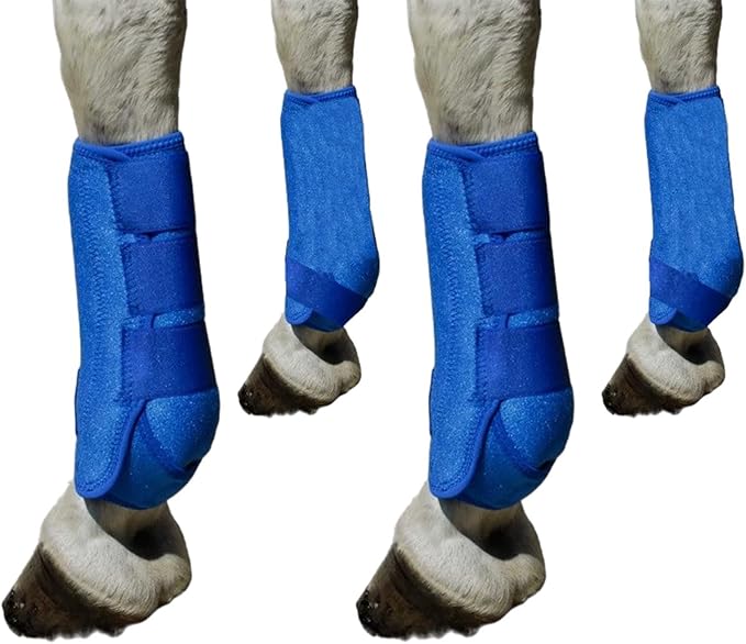 4Pcs Horse Boots Leg Protectors Adjustable Comfortable Neoprene Reusable Breathable Horse Guards Set Leg Gear for Ourtdoor, Blue, L