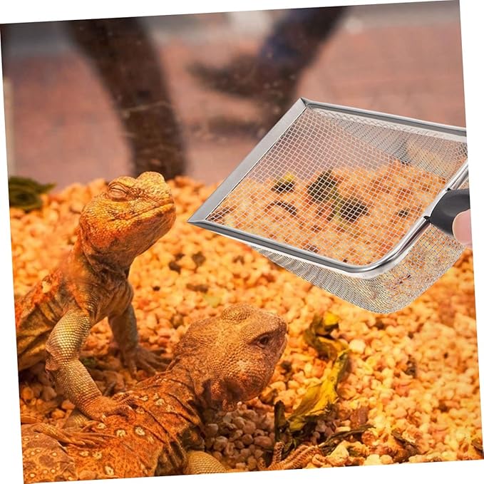 Toyvian 2pcs Bearded Dragon Scoop Litter Scooper Holder for Reptile Terrarium Heavy Duty Pooper Scooper
