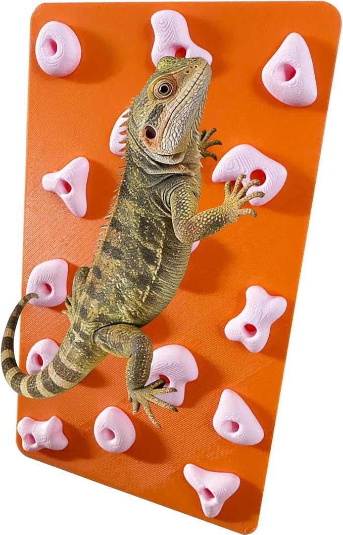 Mini Reptile Rock Climbing Wall, Terrarium Enclosure Enrichment & Habitat Décor for Bearded Dragons, Geckos, Lizards, Snakes, Tree Frogs and Small Amphibians (Orange & Pink)