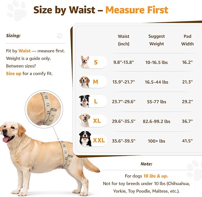 Adjustable Dog Lift Harness, Dog Sling for Large Dogs Hind Leg Support, Soft Lift Support Helps Senior, Injured, Disabled and After ACL Surgery Dogs-Black & Grey (X-Large)