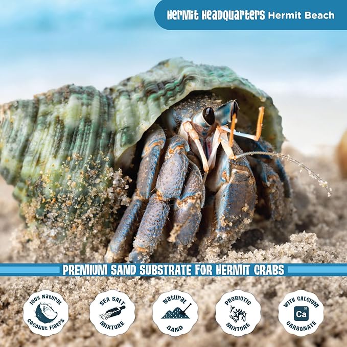 Fluker's All Natural Premium Hermit Crab Sand Substrate, Sand Mixture with Coconut Fiber, For Hermit Crab Tanks, 12 lbs.