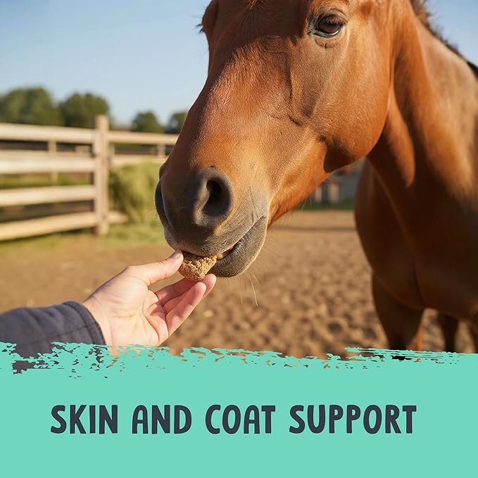 Health Extension Equine Mint Crunch Treats with Colostrum – Refreshing Mint Flavor for Horses – Supports Daily Training Rewards & Positive Reinforcement – 2 lb Bag