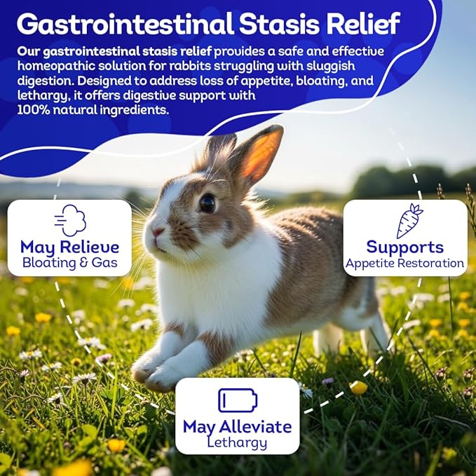 HA4E - Rabbit Gastrointestinal Stasis Treatment - Promotes Healthy Digestion & GI Stasis Relief -Natural Homeopathic Digestive Health Tablets - Pellets, Hutch Size (Extra Large)