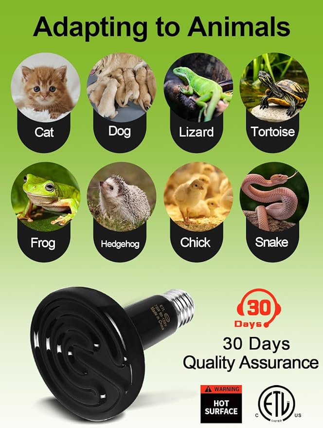 OMAYKEY 2-Pack 75W Ceramic Heat Lamp with 1-pcs Digital-Thermometer, Infrared Heat Emitter Bulbs for Reptiles, Amphibians, Chicken Brooder Coop Lizard Turtle Snake Aquarium, No Light No Harm