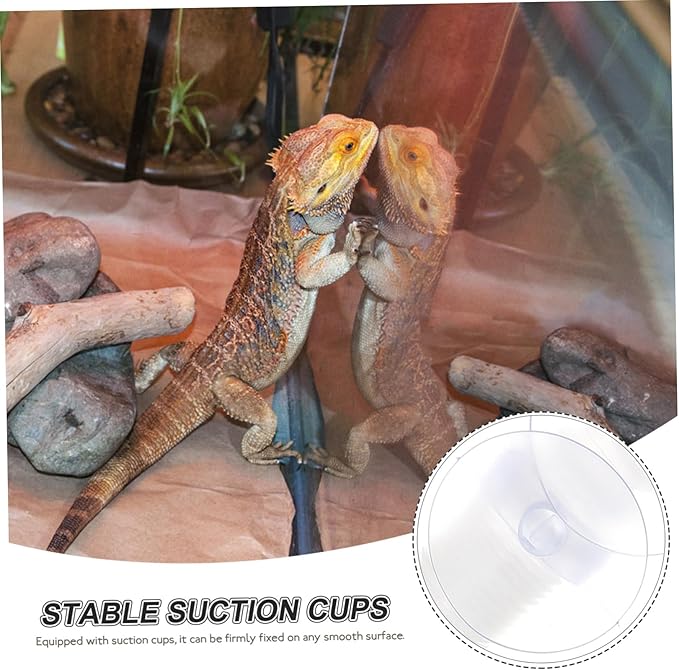 1Set Reptile Humidifier Extension with Cup Flexible Hose for Reptile and Amphibian Habitat Easy Installation Compatible with Containers Essential