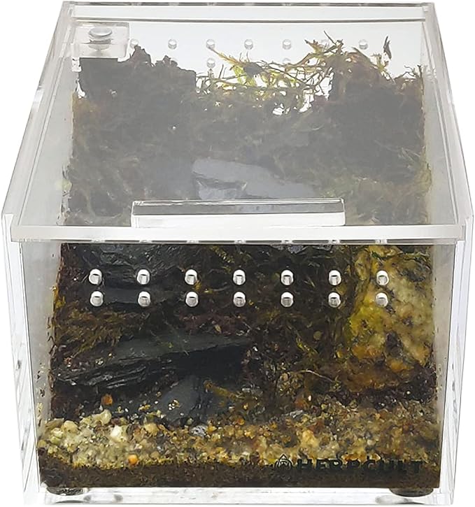 Herpcult Magnetic Acrylic Mini-Flat Enclosure 3 x 4 x 2.5