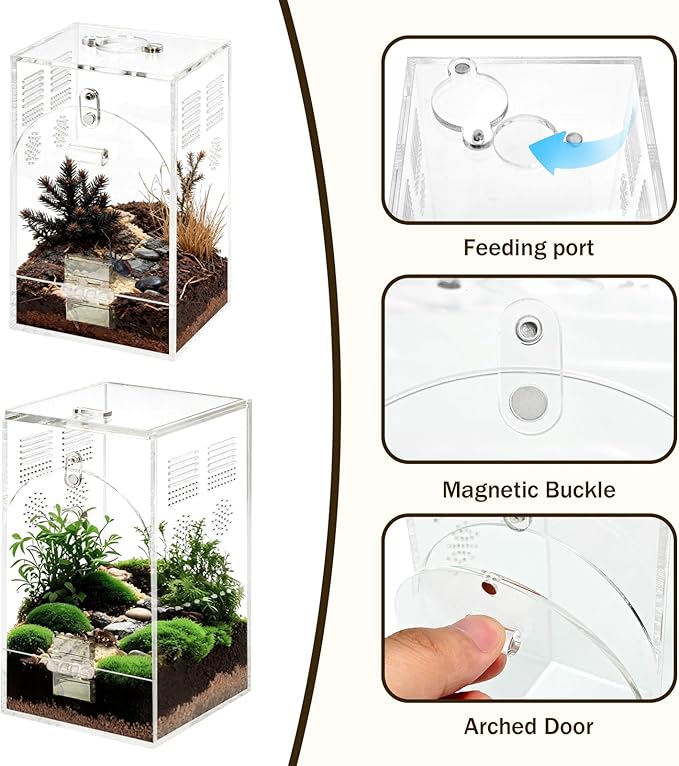 Jumping Spider Enclosure, Acrylic Insect Terrarium, Praying Mantis Habitat, No Assembly Required, 2-Size Kit
