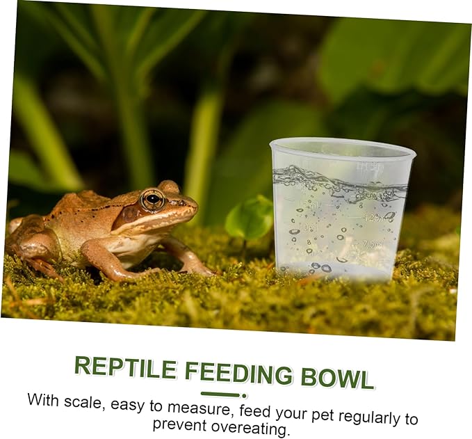 Yardwe 40pcs Reptile Feeder Cups Measuring Bowls for and Lizard Feeding Compact Food and Water Cups for Reptile Tank Care