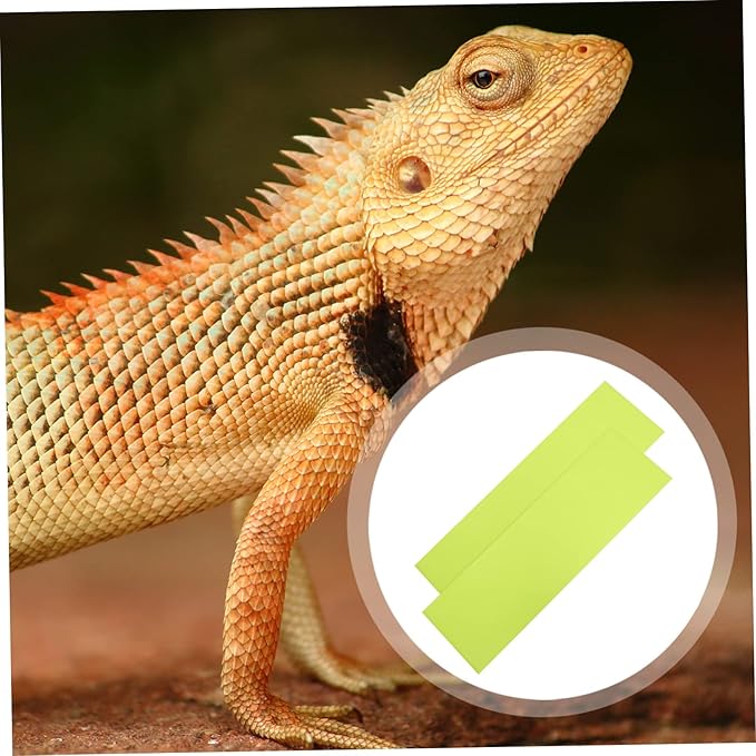 Garneck 2pcs Reptile Carpet Mat for Terrarium Non-Tearing Bedding for Tanks for Snakes Lizards Tortoises and More