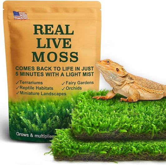 LUCKYRUNES Live Moss for Reptiles - Terrarium Moss for Reptiles Peat Moss for Reptiles Habitat Bedding Moss for Snakes Turtle Frog Gecko and Other Reptiles Substrate 50 Square inches Live Moss