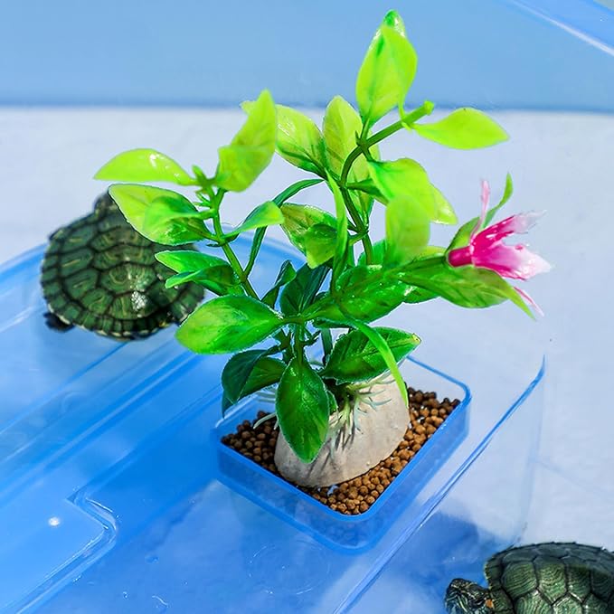 Reptiles Terrariums Terrapins Habitat with Basking Platform Anti-Escaping Hermit-Crab Accessories Turtle Habitat