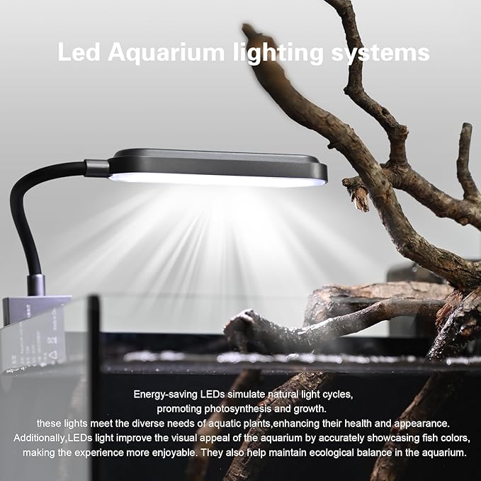 2.8 Gallon Small Aquarium Set Glass Fish Tank,Nano Nature Aquarium Kit with Waterfall Filter and Light for Beginners and Children to Keep Betta Fish, Goldfish, Shrimp, and Aquatic Plants