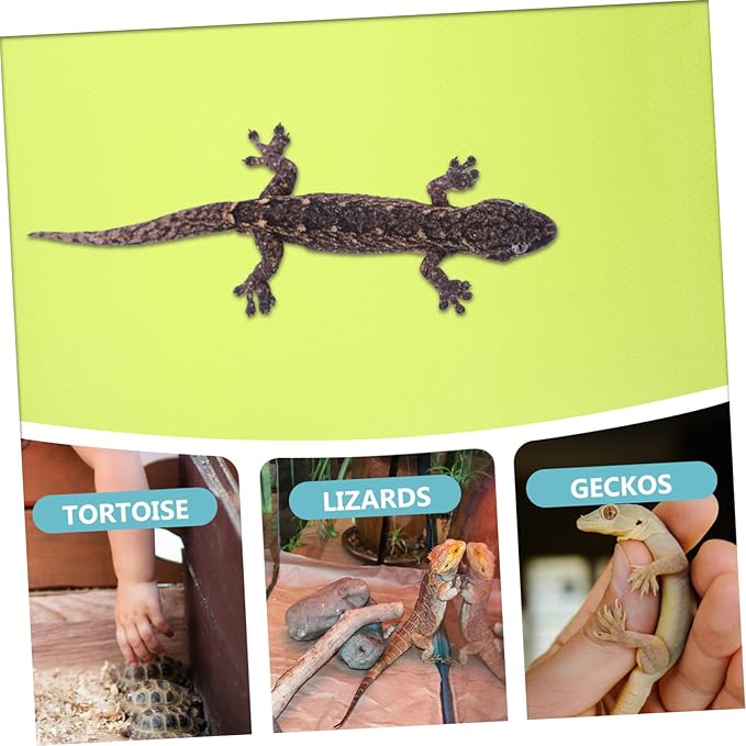 Happyyami Reptile Substrate Mat for Lizard Bearded Dragon Tortoise Snake Leopard Gecko Eva Material Non-Slip Easy Clean