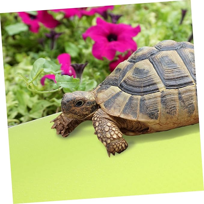 BESPORTBLE Leopard Gecko Bearded Dragon Snake Terrarium Liner Reptile Carpet Eva Pet Substrate Mat