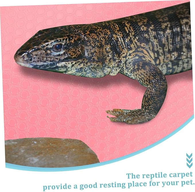 Reptile Substrate Mat EVA Non-Stick Terrarium Carpet for Leopard Gecko Tortoise Lizard Tank Bedding Soft Breathable Reptile Habitat Liner