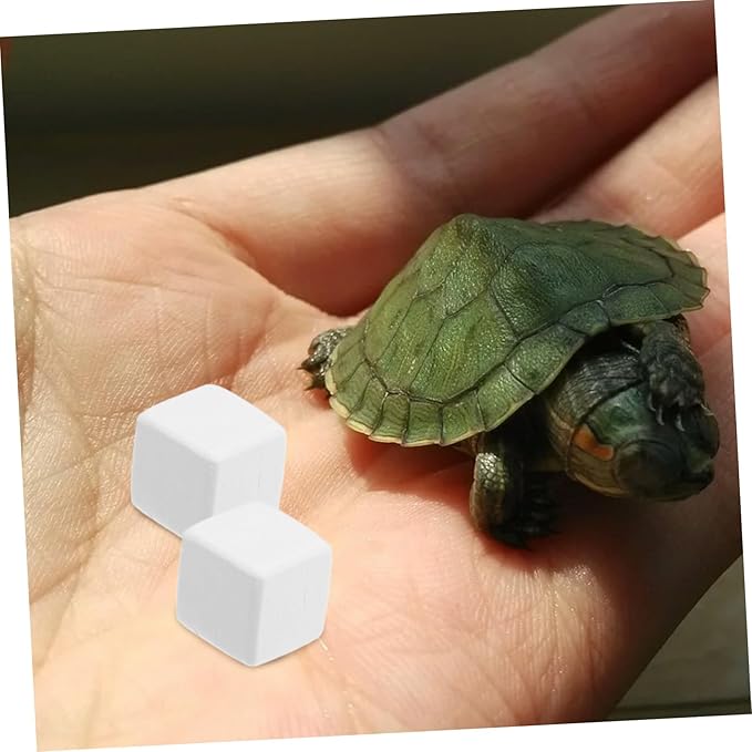 BESPORTBLE 6pcs Natural Mineral Block for Reptiles and Crabs Pumice Chew for Fish Tank Habitat of Minerals for Pets for Stimulation and