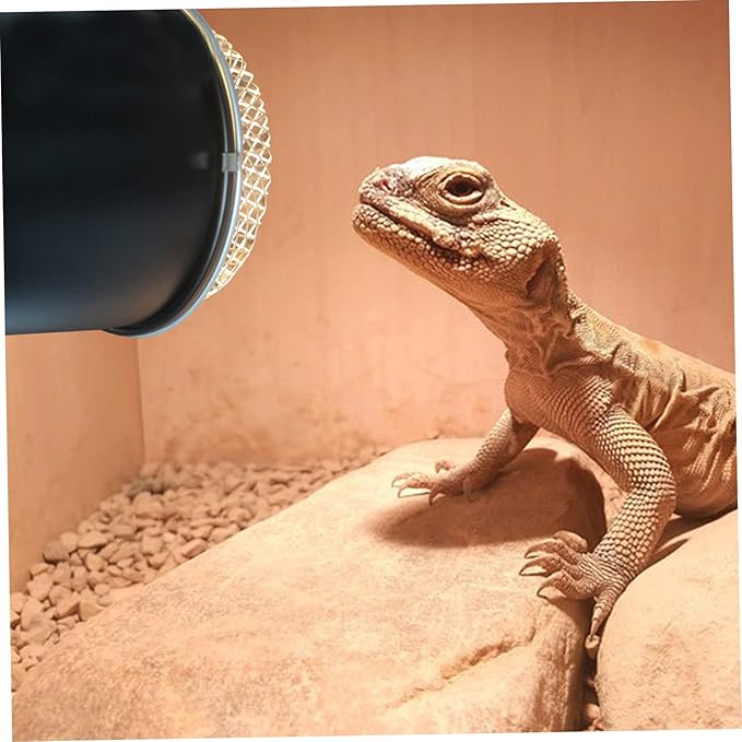 Abaodam Reptile Heating Lamp Shade Mesh Cover Sturdy Scald Protective Cover for Day Night Lamps Easy Installation Efficient Heat Dissipation for Safe