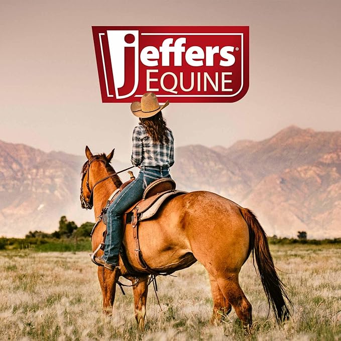 Jeffers Expression Protective Horse Boots, 1 Pair, Medium - Safe Neoprene Leg Guards, Durable Strap Closures, Front & Hind Support, Equestrian Accessories for Travel & Riding - Equestrian Toile