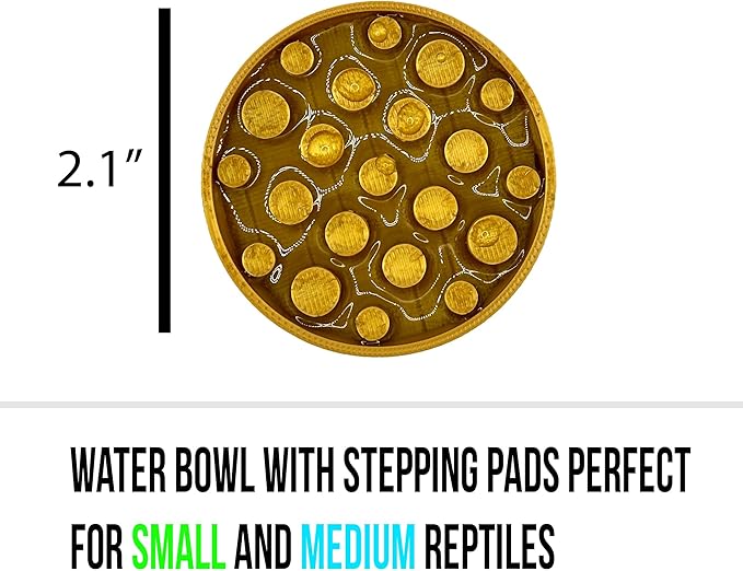 Leopard Gecko Water Bowl - Walkable Water Bowl - Tarantula Water Bowl (Silk Gold)