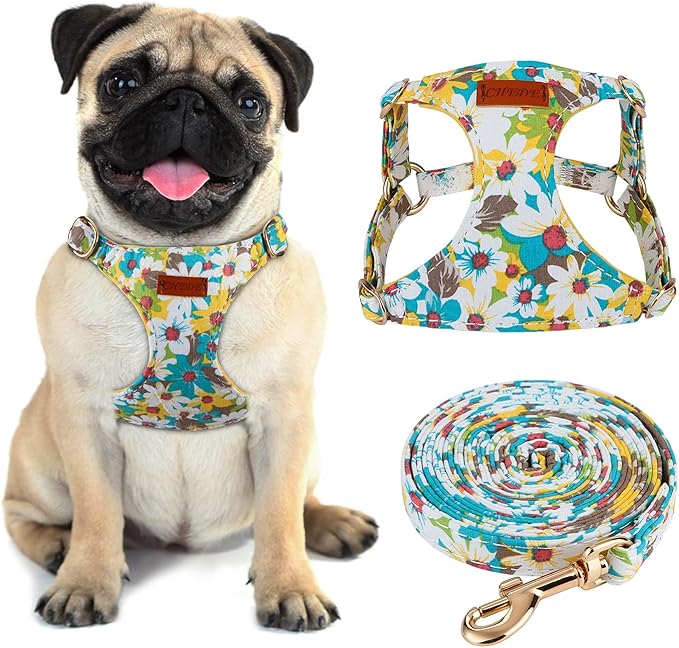 CHEDE No Pull Floral Pattern Dog Harness- Lightweight and Soft Harness, Adjustable Small Dog Harness and Leash Set, with Dog Leash, Suitable for Puppy Small and Medium-Sized Dog