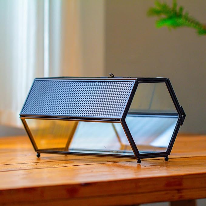 NCYP Small Glass Enclosure Terrarium with Mesh & Door for Tiny Beetle - Hexagon Jumping Spiders Vented Glass Terrarium 7.87'' x 4.52'' x 3.93'', Black (Plants Not Include)