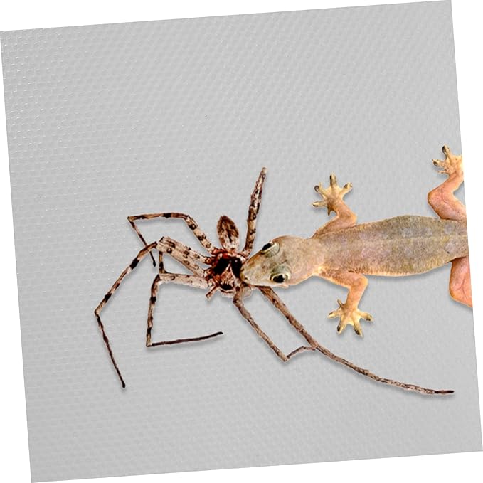 KESYOO Reptile Carpet Substrate for Bearded Dragon Tortoise Gecko Snake Durable Reusable Terrarium Bedding Grey for Reptile Tanks Cages
