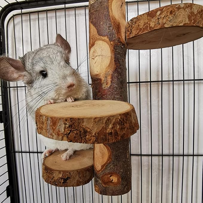 Chinchilla Large Hanging Wooden Rotating Platform - Small Animal Natural Fruit Wood Standing Platform for Squirrels, Sugar Gliders & Birds