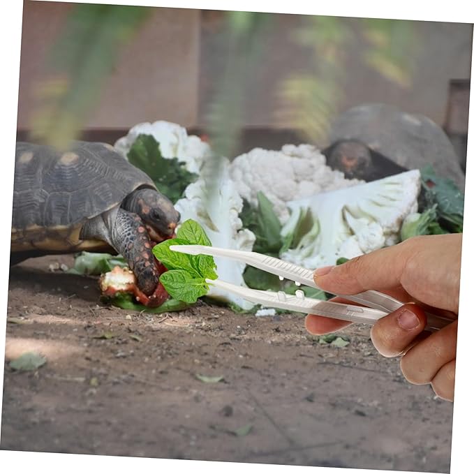 2Pcs Reptile Feeding Tweezers Pet Feeding Clips for Lizards Turtles Frogs Tool for Feeding Terrariums and Aquariums