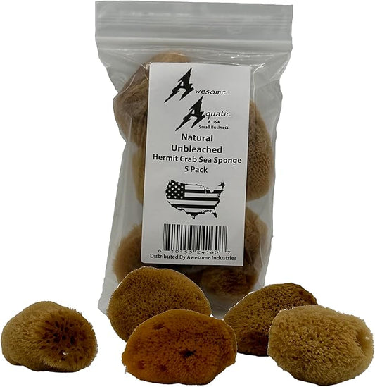 Awesome Aquatic Unbleached Natural Hermit Crab Sponges 5 Pack Natural Sea Sponge Maintains Humidity Drinking Water Safety Provides Nutrients (Unbleached 5 Pk)