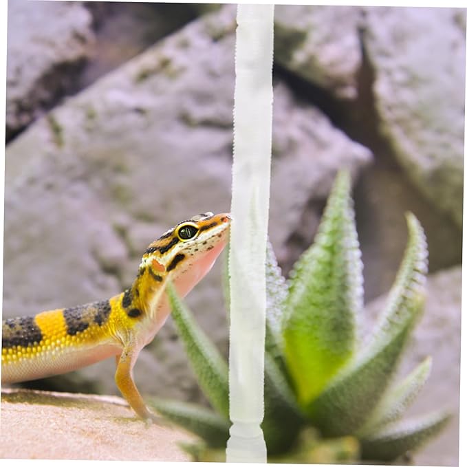 KESYOO 1set Reptile Humidifier Extension Hose Cups Easy to Install Accessories for Terrarium and Amphibian Habitats for Lizard and Snake Enclosures