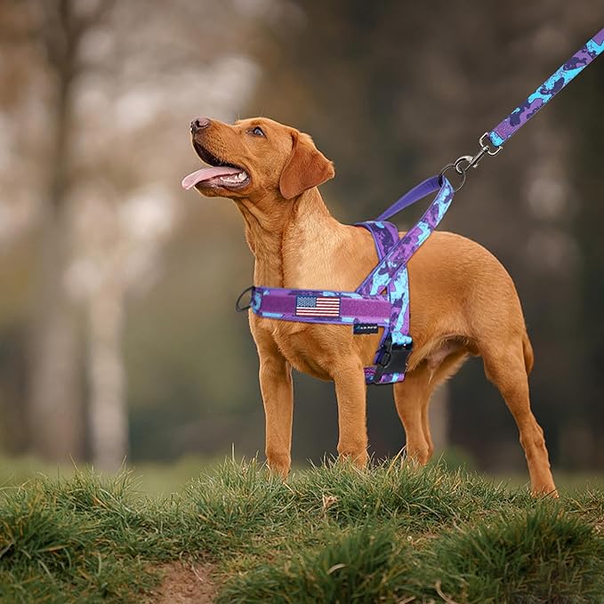 Annchwool No Pull Dog Harness with Soft Padded Handle,Escape Proof and Quick Fit to Adjust Dog Harness,Easy for Training Walking for Small & Medium and Large Dogs(Camo Purple,XL)