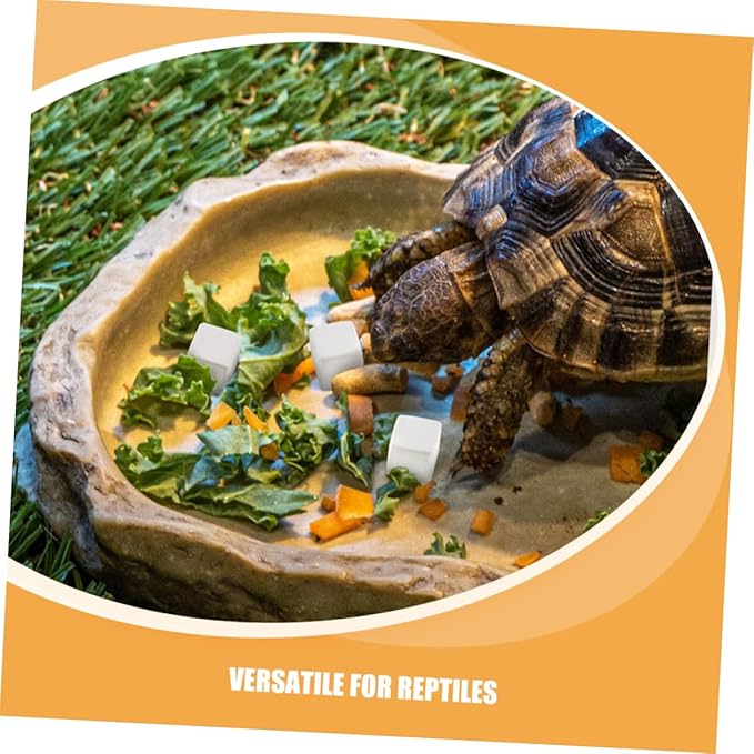 Abaodam 30pcs Reptile Mineral Rocks for Turtles Tortoises Lizards Frogs Supplements for Aquatic Semi Aquatic Pets Growth Vitality Water Quality Stability