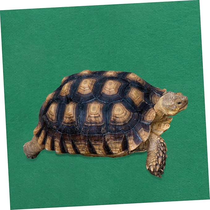 BESPORTBLE Waterproof Reptile Pad 100x40cm Warm Mat for Lizard Cage Turtle Aquarium