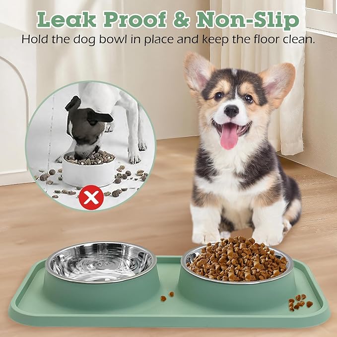 BNOSDM 2 Pcs Double Dog Food Bowls, Stainless Steel Small Dog Food and Water Bowls with Non-Spill Plastic Mat, Pet Cat Feeder Dish Set for Puppy Cats Kitten, Pink
