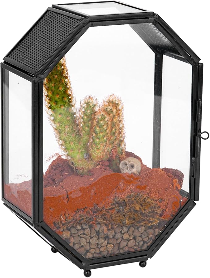 NCYP Mini Vented Glass Terrarium with Vent and Door for Jumping Spiders - Octagon Small Spider Enclosure, Black, Tabletop Decor, 5 x 2.3 x 7 Inches (Terrarium Only)
